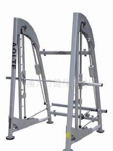 （澳力特ALT-6622)健身器材、體育用品批發・進口・工廠・代買・代購
