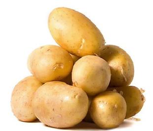 大量批發優質蔬菜 土豆 歡迎選購工廠,批發,進口,代購
