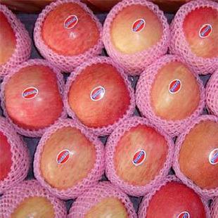 一級紅富士蘋果 精品紅富士蘋果 歡迎訂購批發・進口・工廠・代買・代購