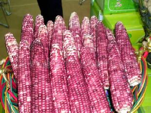 紫香糯速凍鮮食玉米工廠,批發,進口,代購