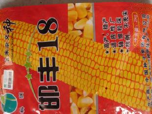 農作物種子 種子 玉米種子 邯豐18工廠,批發,進口,代購