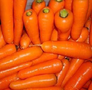 綠色蔬菜 高營養價值 新鮮胡蘿蔔工廠,批發,進口,代購