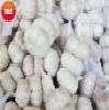 金鄉縣魯豐農貿有限公司常年優質大蒜（13173187388）工廠,批發,進口,代購
