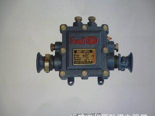 全國煤礦防爆電器/隔爆型低壓電纜接線盒BHD2-20/127-6T工廠,批發,進口,代購