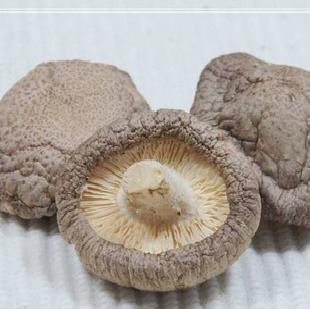 香菇 青川土特產香菇 綠色健康食品工廠,批發,進口,代購