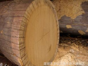 提供原木 提供木質材料的加工工廠,批發,進口,代購