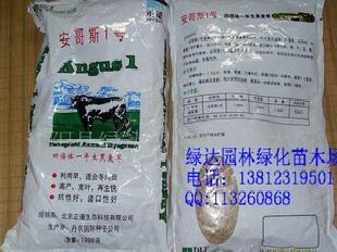 牧羊草籽 黑麥草 多年生黑麥草 安哥斯1號工廠,批發,進口,代購