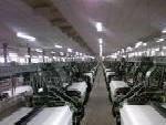 全滌 滌棉 純棉坯布口袋布府綢紗卡漂白面料工廠,批發,進口,代購