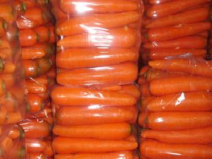 出口級保鮮胡蘿蔔 胡蘿蔔 新鮮胡蘿蔔工廠,批發,進口,代購