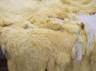 大量現貨綿羊皮皮張及羊剪絨製品工廠,批發,進口,代購