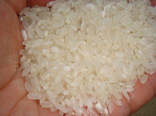 優質東北五常稻花香米工廠,批發,進口,代購