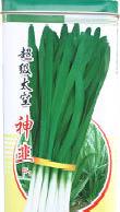 超級太空韭菜新品種--神韭F1種子批發・進口・工廠・代買・代購