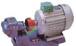 RYB威海燃油泵工廠,批發,進口,代購