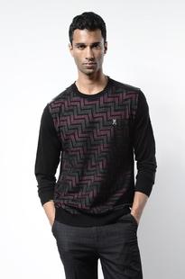 2010新款勁霸小格子商務男裝 薄款個性品味男裝 男士羊毛衫62-876工廠,批發,進口,代購