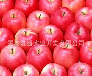 蘋果 無公害蘋果 有機蘋果（圖）工廠,批發,進口,代購