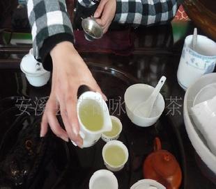 婀娜公主名茶,廠家直銷-支持混批，鐵觀音茶葉批發・進口・工廠・代買・代購