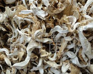 大量 野生菌 食用菌 平菇絲批發・進口・工廠・代買・代購