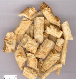 常年各種規格中藥材 北沙參 質優價廉 支持驗貨工廠,批發,進口,代購