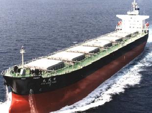 貨代，提供中國——薩桑德拉，阿比讓MSC船公司國際海運服務工廠,批發,進口,代購
