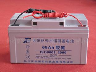 蓄電池 太陽能路燈蓄電池 路燈專用蓄電池 12V65AH批發・進口・工廠・代買・代購