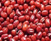 赤小豆提取物Red bean extract工廠,批發,進口,代購