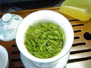 紫筍綠茶<有機食品>批發・進口・工廠・代買・代購