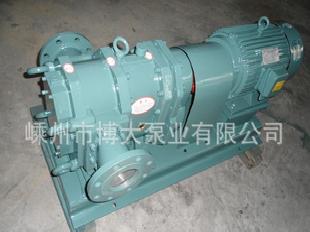 【廠家直銷】高性能WZB-25轉子泵工廠,批發,進口,代購