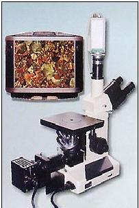 ：金相顯微鏡4XC工廠,批發,進口,代購