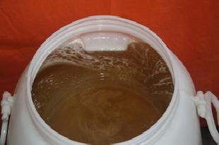 2011年白荊條蜂蜜 42波美度精濾蜂蜜純淨工廠,批發,進口,代購