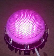批發LED紫色 點光源 廣告材料，防水，廠家直銷！工廠,批發,進口,代購