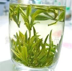黃山毛峰茶 綠色天緣草牌優質一級黃山毛峰茶工廠,批發,進口,代購