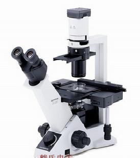 奧林巴斯倒置顯微鏡CKX41-A21RC工廠,批發,進口,代購