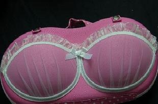 新款流行粉色網紗內衣文胸保護包，收納盒工廠,批發,進口,代購