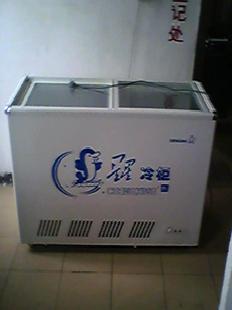 248L臥式冰櫃（低價處理）工廠,批發,進口,代購