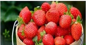 【特價】草莓香精/食用草莓香精/水性草莓香精工廠,批發,進口,代購