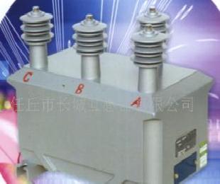 廠家直銷JSZW-10W3 電壓互感器工廠,批發,進口,代購