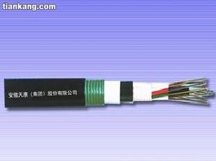 安徽天康（集團）2-144芯直埋松套層絞式光纜GYTA53工廠,批發,進口,代購