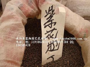 【藍翔】樹木種子 紫花地丁種子批發・進口・工廠・代買・代購