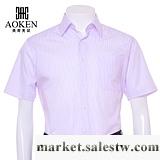 供應AOKEN男精制高檔超強立體紫色條紋標準版商務休閑正裝襯衫降200元工廠,批發,進口,代購