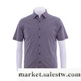 供應AOKEN2012夏季新款男式彈力絲光棉開衫免燙紫色立體紋男裝短袖T恤工廠,批發,進口,代購
