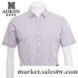 供應AOKEN2012夏季新品T恤衫男式新品商場熱賣款限量促銷工廠,批發,進口,代購