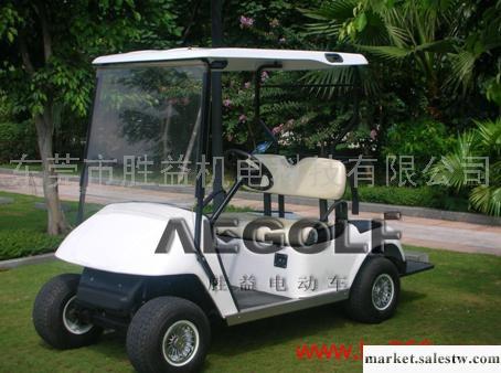 供應勝益AEG102A高爾夫球車專用車工廠,批發,進口,代購