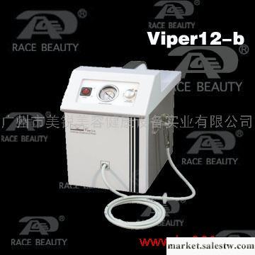 供應蕾絲Viper12-b鉆石磨皮祛角質美容儀器工廠,批發,進口,代購