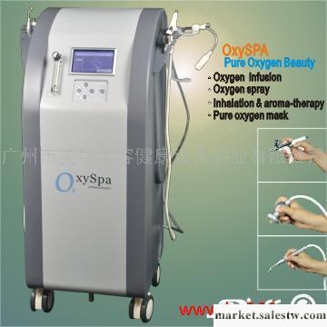 供應蕾絲OxySPA純氧皮膚護理美顏儀 氧療機美容儀器工廠,批發,進口,代購
