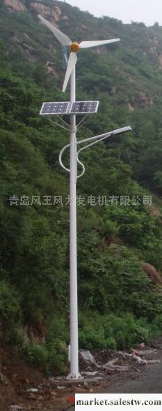 供應風王FD2.0-300W風光互補路燈照明；LED燈工廠,批發,進口,代購