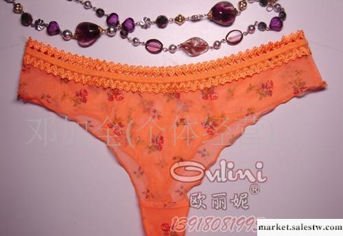 批發網紗T褲、性感內褲 透明蕾絲情趣內衣 比基尼工廠,批發,進口,代購