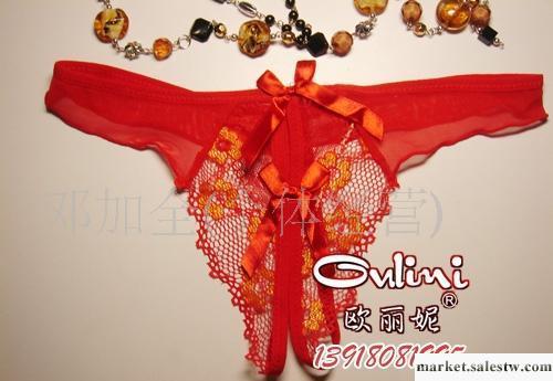 批發批發T褲、性感內褲、情趣內衣、蕾絲比基尼工廠,批發,進口,代購