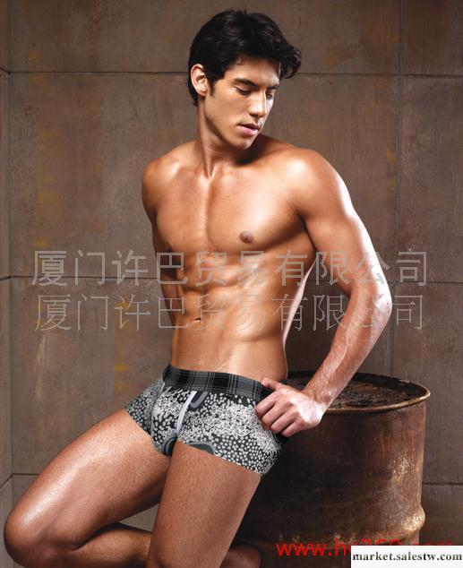 供應外貿情趣低腰時尚牛奶絲個性舒適許巴男式內褲工廠,批發,進口,代購