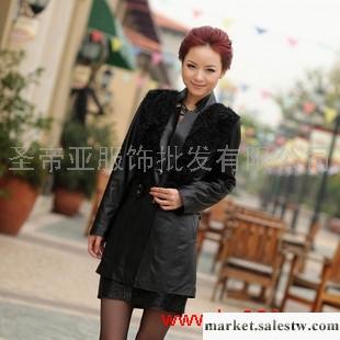 供應伊菲藍 2011新款 海寧女式薄款皮衣 立領羊羔毛 真皮工廠,批發,進口,代購