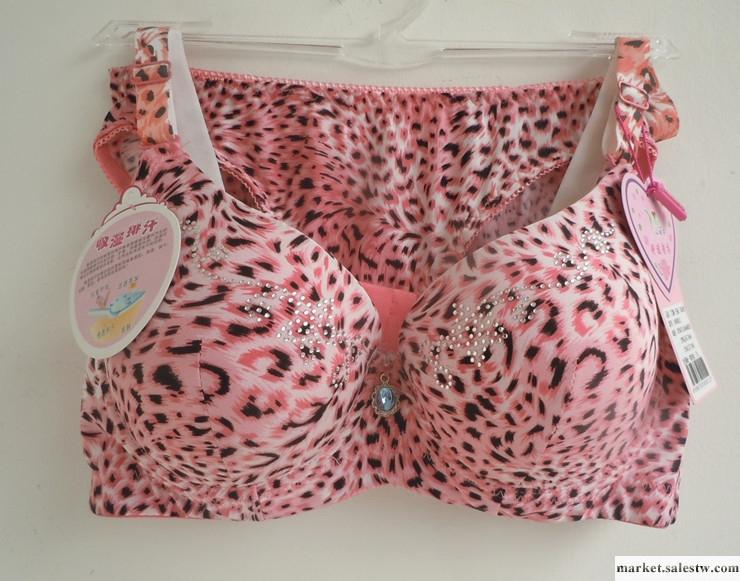 供應日系少女內衣文胸套裝  透氣聚攏文胸工廠,批發,進口,代購